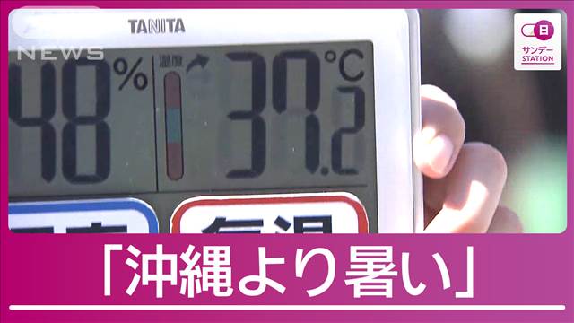 史上“最も遅い”猛暑日続出…都内でも 浅草サンバ「露出多いのに…汗止まらない」