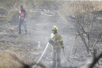 イスラエル軍のガザ空爆で人質3人死亡か　調査結果を公表