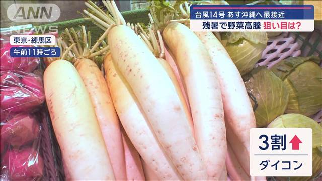 台風14号あす沖縄へ最接近　残暑で野菜高騰狙い目は？