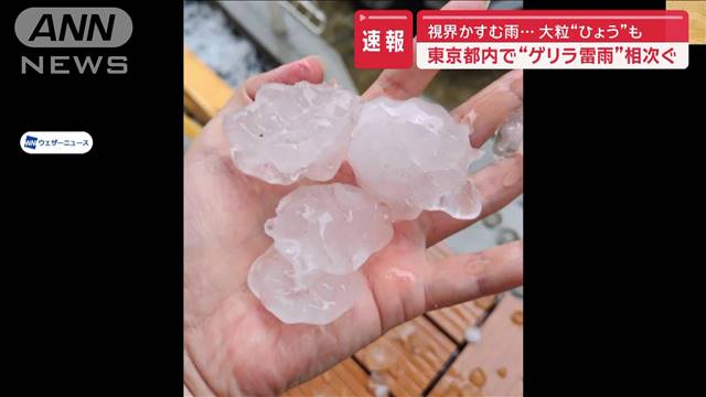 都内で“ゲリラ雷雨”相次ぐ　視界かすむ大雨に大粒のひょうも