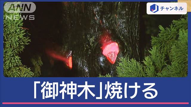 樹齢500年の御神木が火事　普通の木とは違う“燃え方”　一体なぜ？