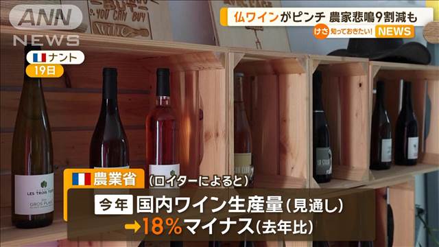 フランスのワインがピンチ　農家悲鳴　9割減も