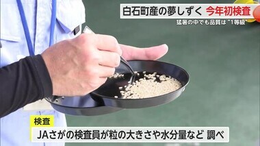 今年初出荷 白石町の「夢しずく」全て“1等級” 県内に供給するコメは十分に確保【佐賀県】