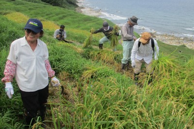 世界農業遺産「白米千枚田」でのり面崩落　能登地震からの復興半ばで