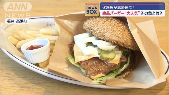 迷惑魚が高級魚に!　絶品バーガー“大人気”その魚とは?