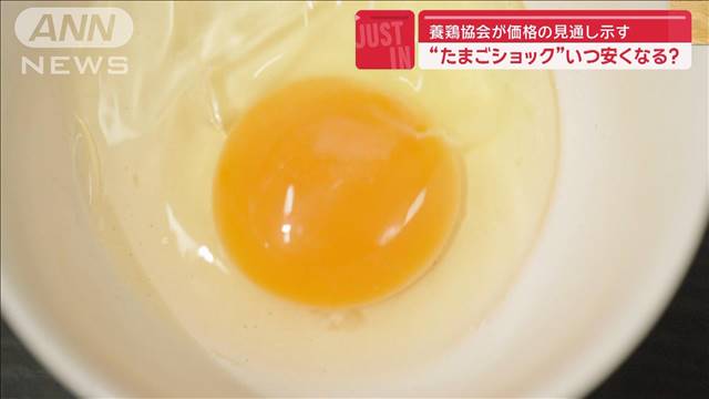 “たまごショック”いつ安くなる？　養鶏協会　価格の見通し示す