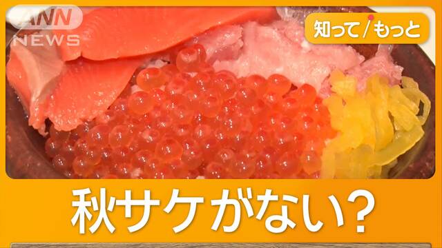 秋サケの水揚げ量が10分の1　「今まで経験ない」 イクラもピンチ【詳細版】