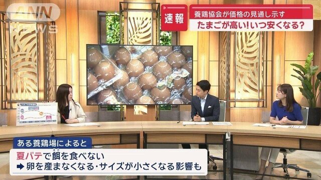 たまごが高い！いつ安くなる？　養鶏協会が示した見通しは