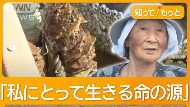 震災にも負けない83歳女性　「命のカキ養殖」を襲った豪雨　濁流流れ込み海濁る