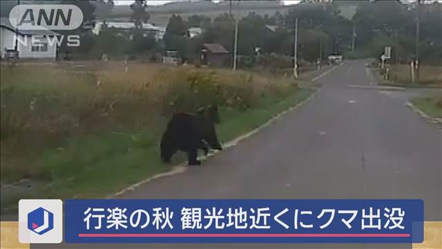 「おいおいおい」猛スピード熊出没　人気「ジェットコースターの路」近く