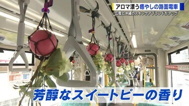 広電の路面電車に「アロマトレイン」登場　車内に芳醇なスイートピーの香り　沖縄の会社と広島電鉄がコラボ