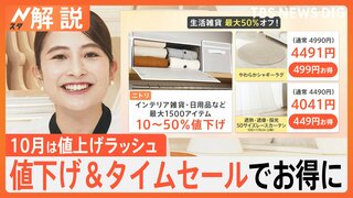 値上げラッシュの10月…食品3000品目が値上げ　クリスマス、年末年始は“早割”でお得に【Nスタ解説】