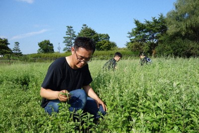 障害者ではなく生産者として　ヨモギ栽培、本格販売へ　長野・安曇野