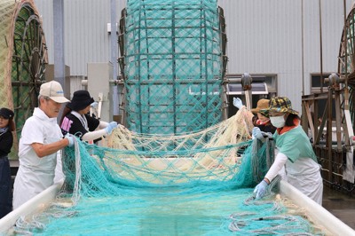 おむすびの「相棒」ノリの種付け始まる　生産日本一の兵庫県