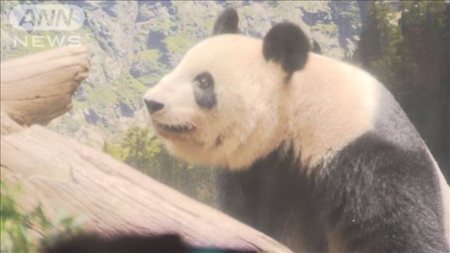 2頭のパンダ中国に返還 13年過ごした上野動物園出発