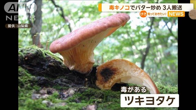 毒キノコでバター炒め　家族3人搬送　山梨