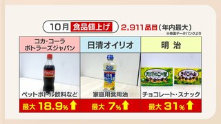 食品も薬も交通も値上げ　１０月も暮らし直撃　児童手当は拡充へ