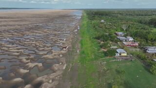 ブラジル　雨不足が深刻　アマゾンではすでに本州の約半分の面積が消失