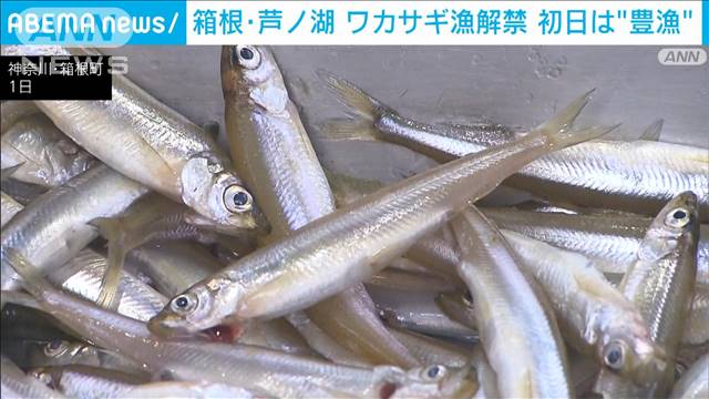 箱根・芦ノ湖　ワカサギ漁解禁　初日は“豊漁”