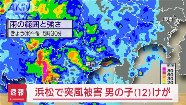 浜松で突風被害　12歳男児がけが、住宅6軒に被害