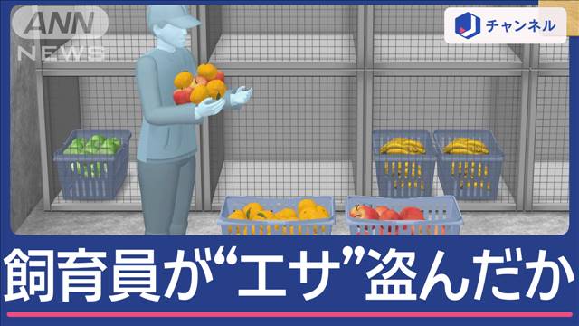 動物園のベテラン飼育員“動物のエサ”盗んだか…警察が聴取