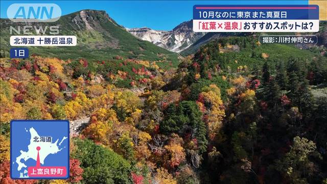 10月なのに…東京また真夏日　「紅葉×温泉」お薦めスポットは？