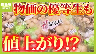 【きのこを深掘り】鍋に入れるタイミングはいつ？「基本的にお安め」うれしい食材だが『生産者に悩ましい一面』も　注目のマツタケ生産国知ってる？