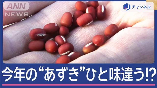 品質良好で“あずきショック”回復へ 今年はひと味違う「どらやき」？