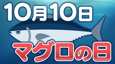 「世界初」のクロマグロ完全養殖　初出荷から20年　近大マグロが切り開いた「養殖」の未来は