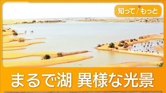 サハラ砂漠に湖出現　8〜9月に大雨「短期間にこれほど降ったのは50年ぶり」