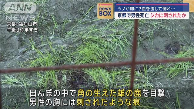 ツノが胸に？血を流して倒れ… 京都で男性死亡　シカに刺されたか