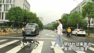 レーダーとカメラで周辺の状況を把握、走ることも可能　中国で人工知能を搭載した「盲導犬ロボット」に注目