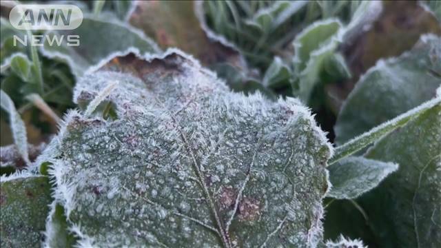 北日本は今季一の寒さ　旭川で初氷　本州も冬日