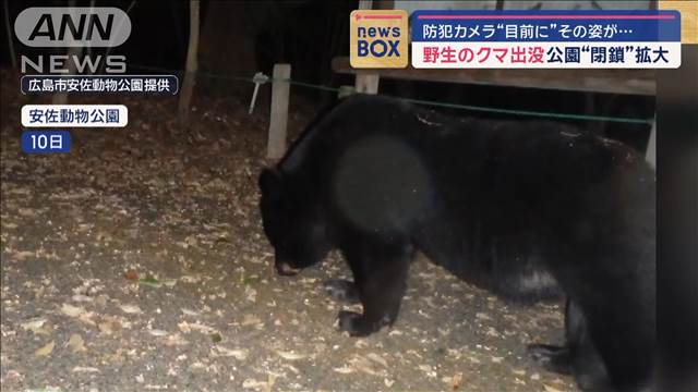 防犯カメラ“目前に”その姿が…野生のクマ出没　公園“閉鎖”拡大