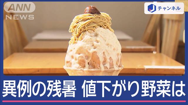 東京また夏日 ソメイヨシノ咲く　異例の残暑でおトク野菜は？