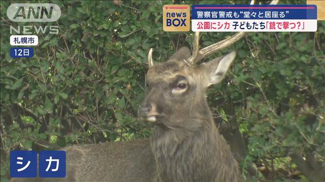 公園にシカ…子どもたち「銃で撃つ？」　警察官警戒も“堂々と居座る”