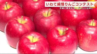 いわて純情りんごコンテスト　天候に恵まれ甘くおいしい出来に　岩手・北上市