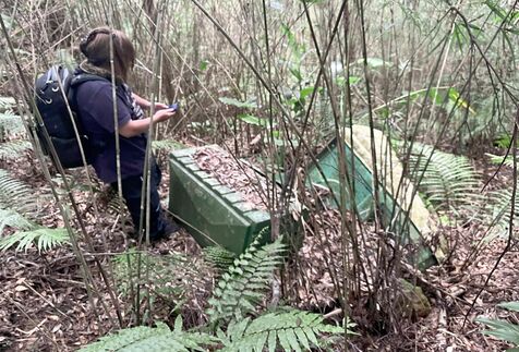 ［現場で思う　秋の新聞週間］（上）　世界遺産にトイレ残骸　北部訓練場返還跡地　森の異物に怒り