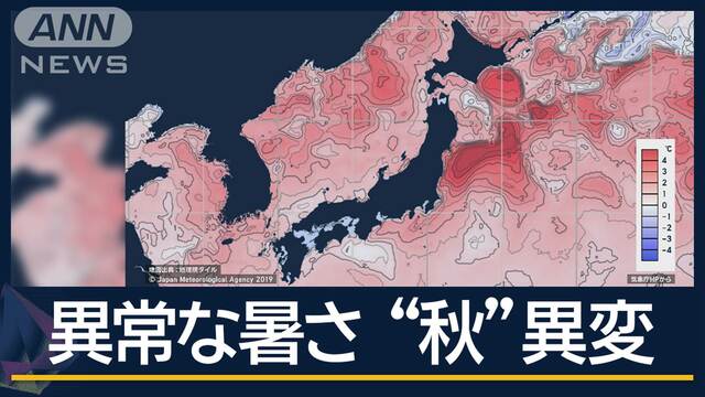 北海道物産展にサツマイモ・少雨と暑さでキノコ2割に 異常な暑さ“秋の味覚”に異変