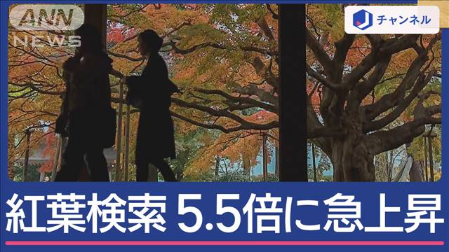 紅葉スポット 人気検索急上昇！「ランキング1位」は？