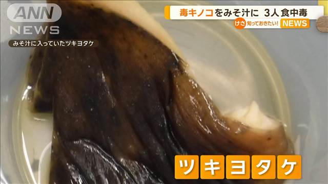 毒キノコをみそ汁に…3人が食中毒　宮城