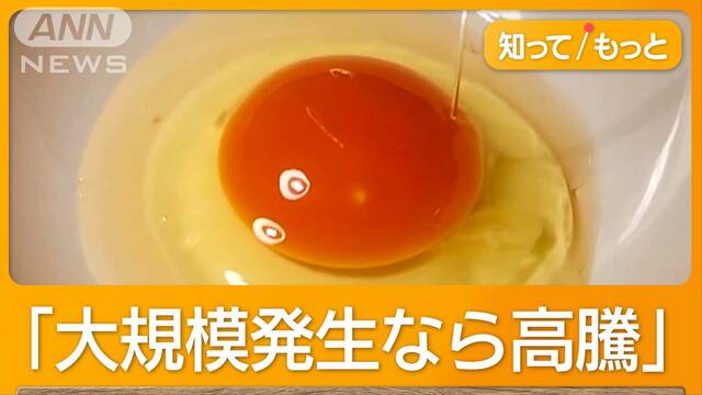 今季初の鳥インフルエンザ　約2万羽殺処分　エッグショック再来の恐れ