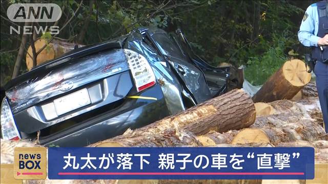 荷台から丸太落下　すれ違いざまに車“直撃”… 中には父と息子