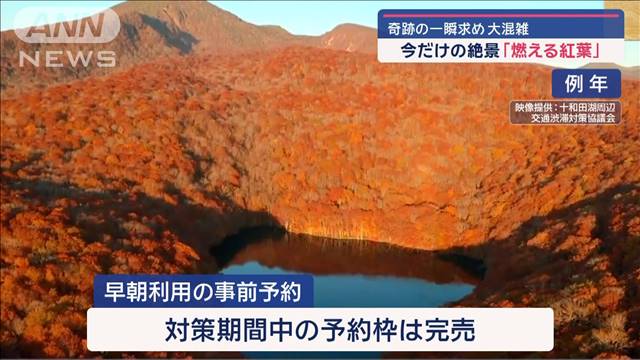 “奇跡の一瞬”求め青森・蔦沼が大混雑　今だけの絶景「燃える紅葉」