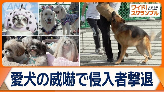 ほえて威嚇！防犯効果で注目　犬による防犯の重要性　愛犬向けイベントでしつけ教室も