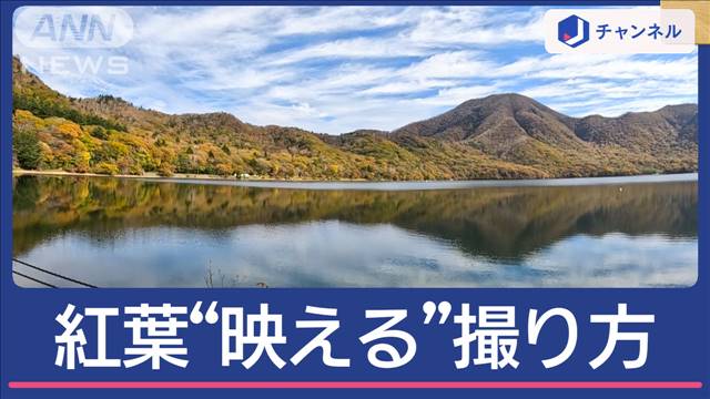 絶景写真家に聞く！紅葉“映える”撮り方は？東京また夏日で涼求め行列