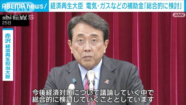 電気ガス補助などに経済再生大臣「総合的に検討」　所得、地域に応じた支援示唆