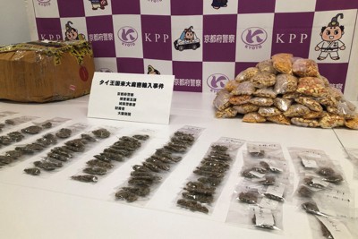 「金欠で参加」　闇バイトで大麻密輸か　24歳を逮捕　京都府警