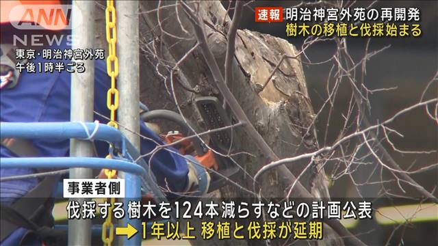 【速報】明治神宮外苑の再開発　事業者側が樹木の移植・伐採に着手　1年以上延期の末