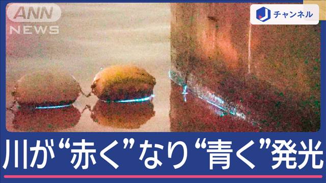 横浜の川が突然“真っ赤”に…しかも夜は光る！？　住民不安も原因判明か